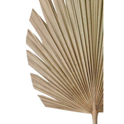 Lumière vivante lumière et feuilles vivantes plantae naturel 103 cm | 12 pièces