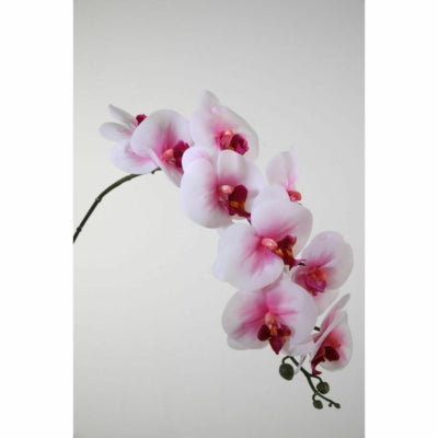 Fleur artificielle phalaenopsis blanc rose 86 cm | 12 pièces