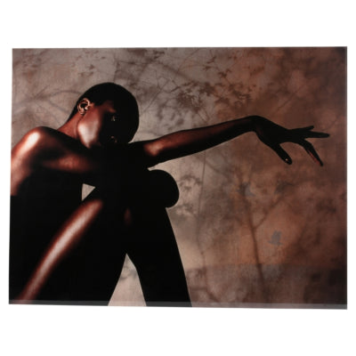 Ptmd peinture sur verre savane par moine édition limitée 130 x 100 cm