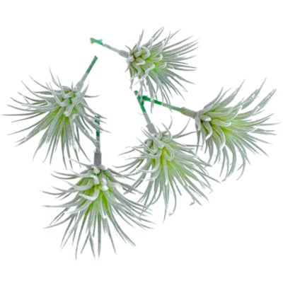 Plante artificielle tillandsia vert 7,5 cm lot de 5 | 24 pièces