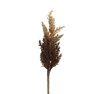 Countryfield branche artificielle astilbe led sur batterie marron 90 cm | 12 pièces