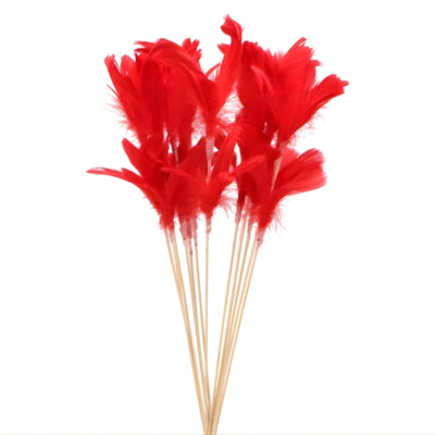 Plumes de bois courbé Daan sur bâton 72 cm lot de 12 | 24 pièces