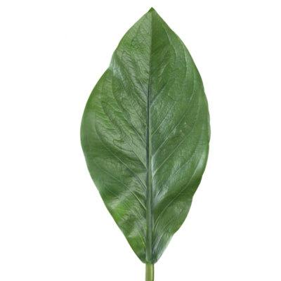 Ptmd branche artificielle feuilles vert foncé 70 cm | 12 pièces