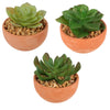 Plante artificielle en pot 9 cm 3 assortis | 12 pièces