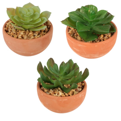 Plante artificielle en pot 9 cm 3 assortis | 12 pièces