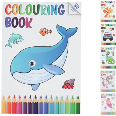 Livre de coloriage a4 30 pages 6 assortis | 24 pièces