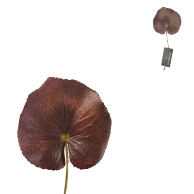 Geai à feuilles artificielles Countryfield s 22 cm | 120 pièces