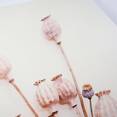 Décoration murale bois de coquelicot 58 cm | 6 pièces