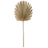 Lumière vivante lumière et feuilles vivantes plantae naturel 103 cm | 12 pièces