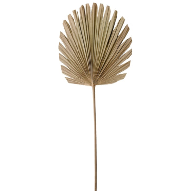 Lumière vivante lumière et feuilles vivantes plantae naturel 103 cm | 12 pièces