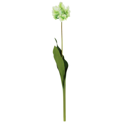 Countryfield fleur artificielle tulipe tulipa vert 73 cm | 12 pièces