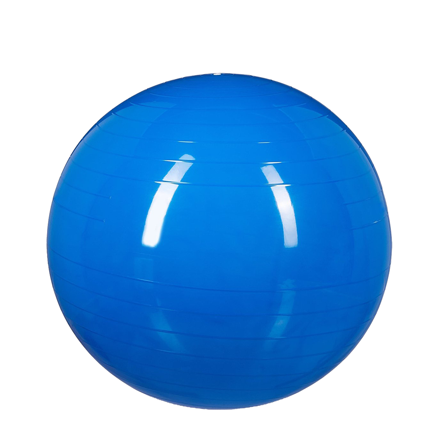 Ballon de gymnastique Relaxdays bleu ø55cm