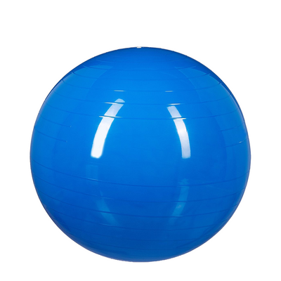 Ballon de gymnastique Relaxdays bleu ø55cm