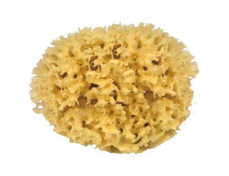 Croll Denecke Nature Sponge pour le corps