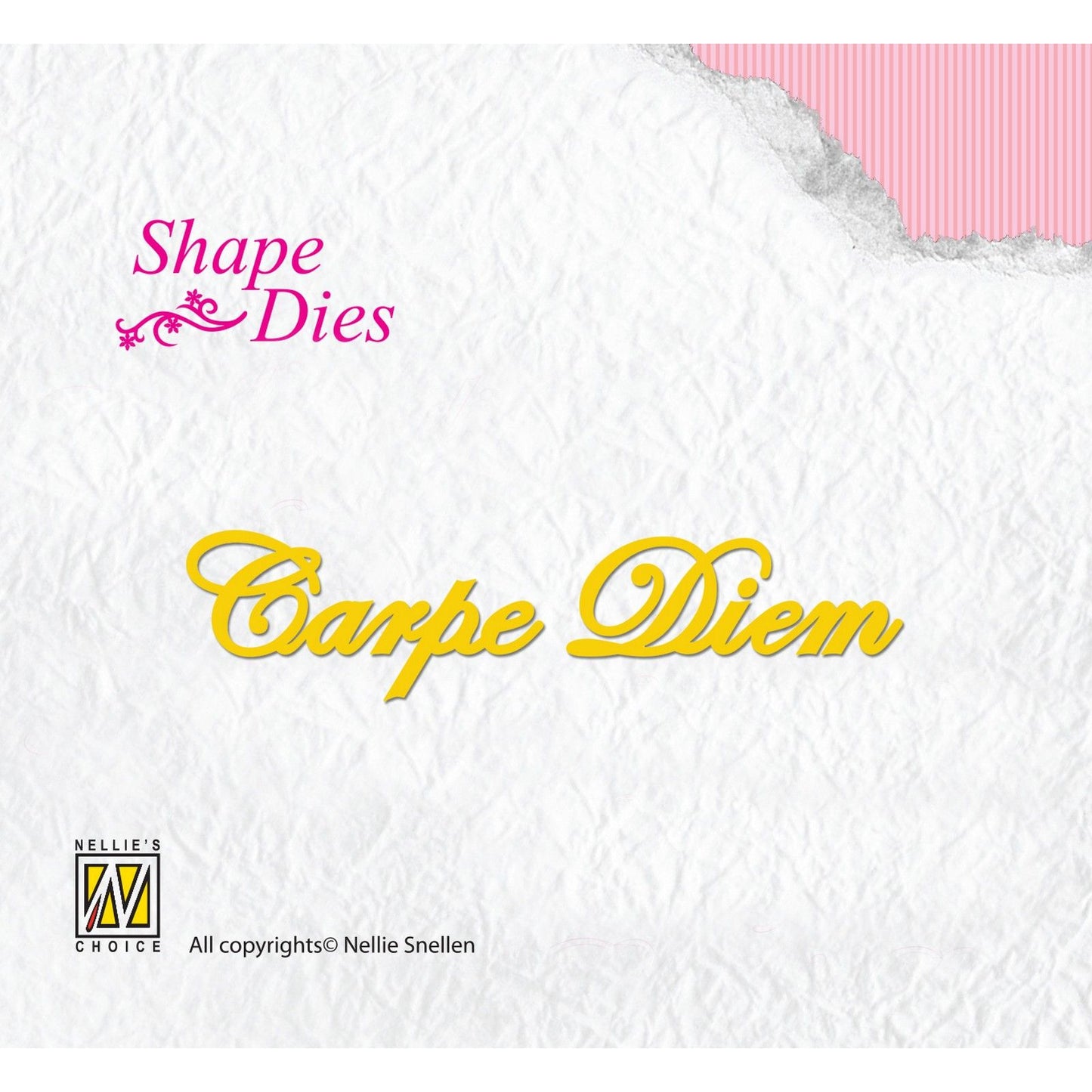 Le choix de Nellie • façonner ce texte carpe diem 2pcs.