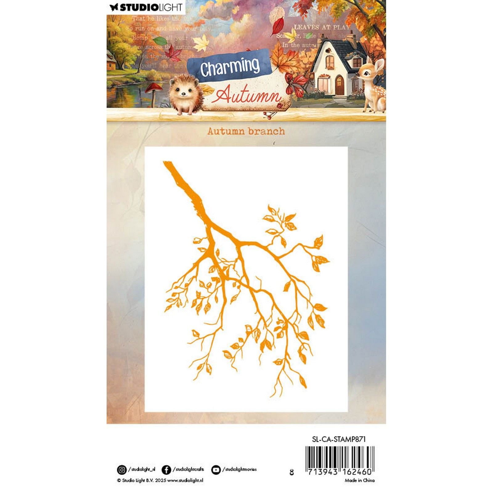 Studio light • charmants timbres clairs d'automne branche d'automne