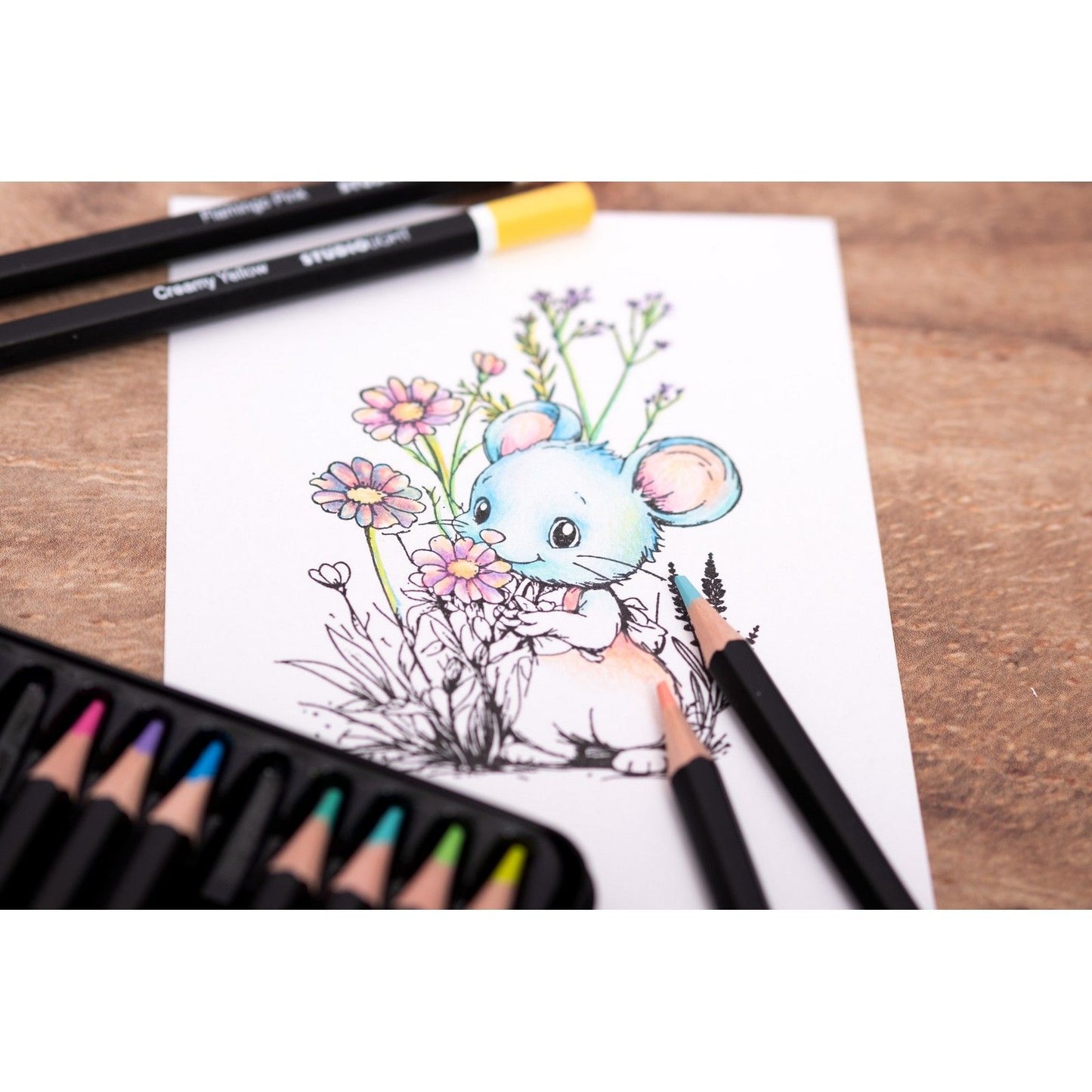Studio light • crayons essentiels aux tons pastel 12pcs