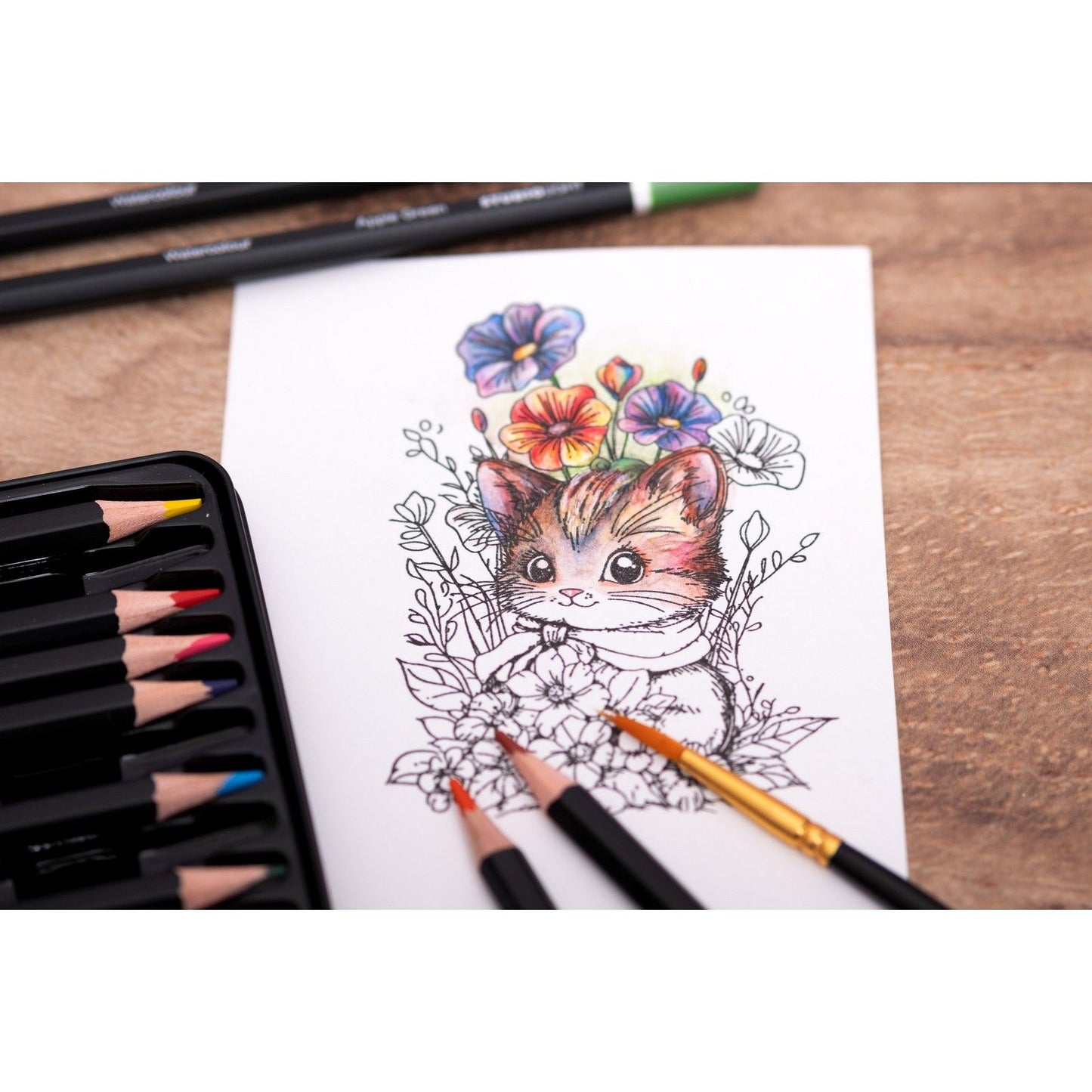 Studio Light • Crayons essentiels Crayons aquarelle 12pcs