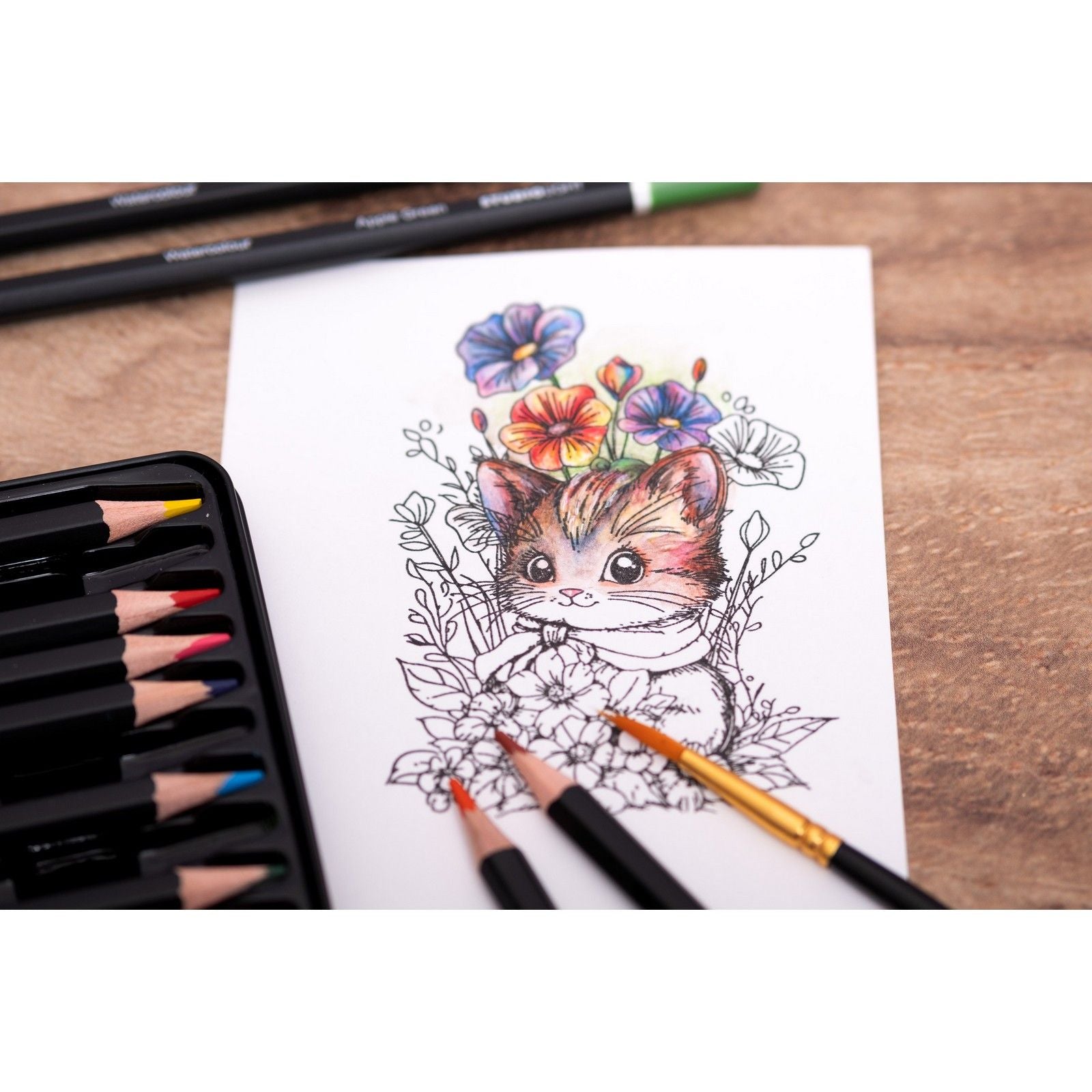 Studio Light • Crayons essentiels Crayons aquarelle 12pcs