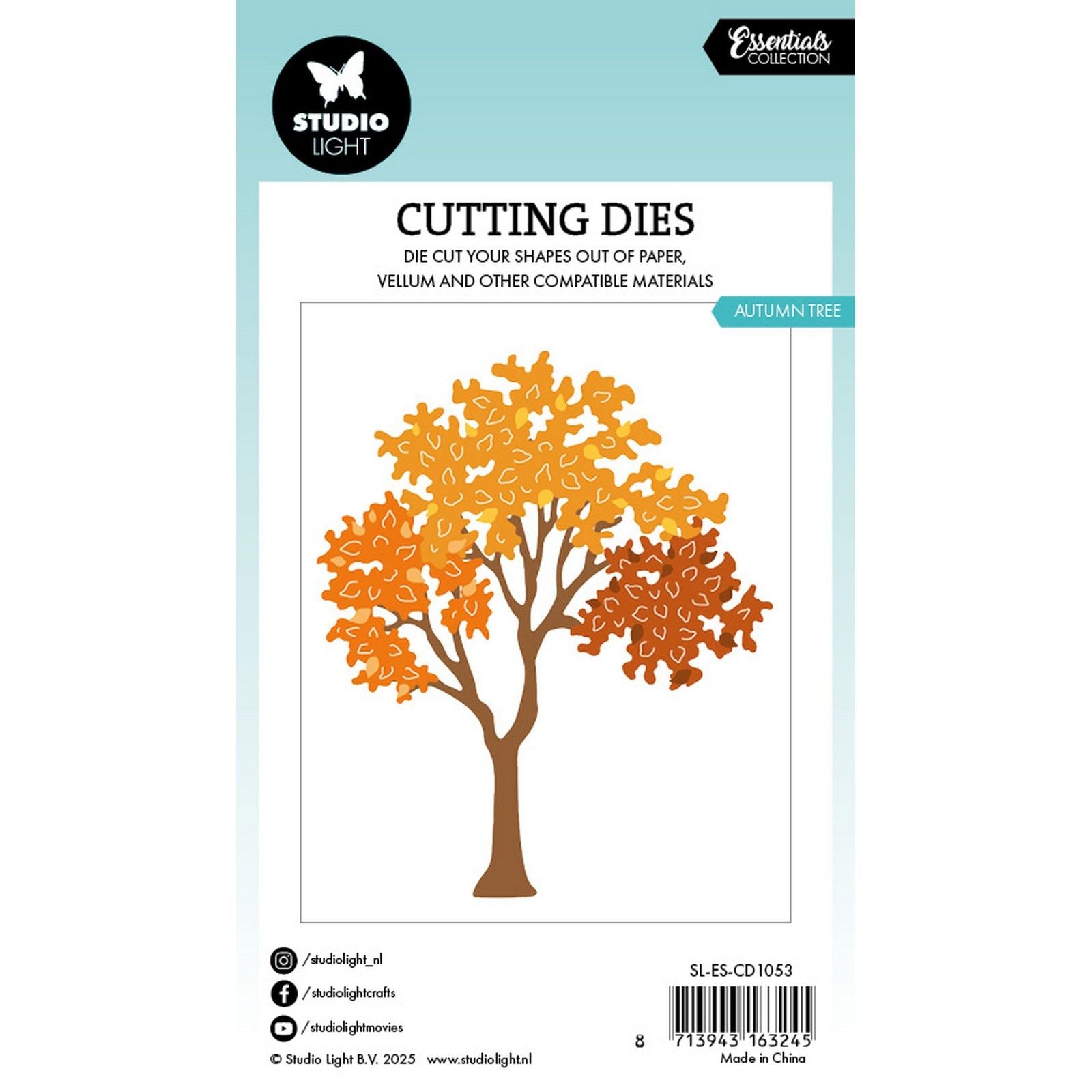 Éclairage de studio • essentiels pour couper cet arbre d'automne