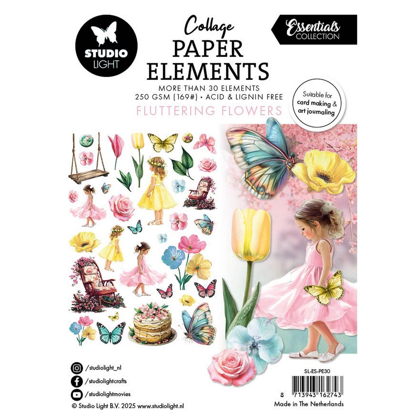 Lampe de studio • éléments essentiels en papier, fleurs flottantes