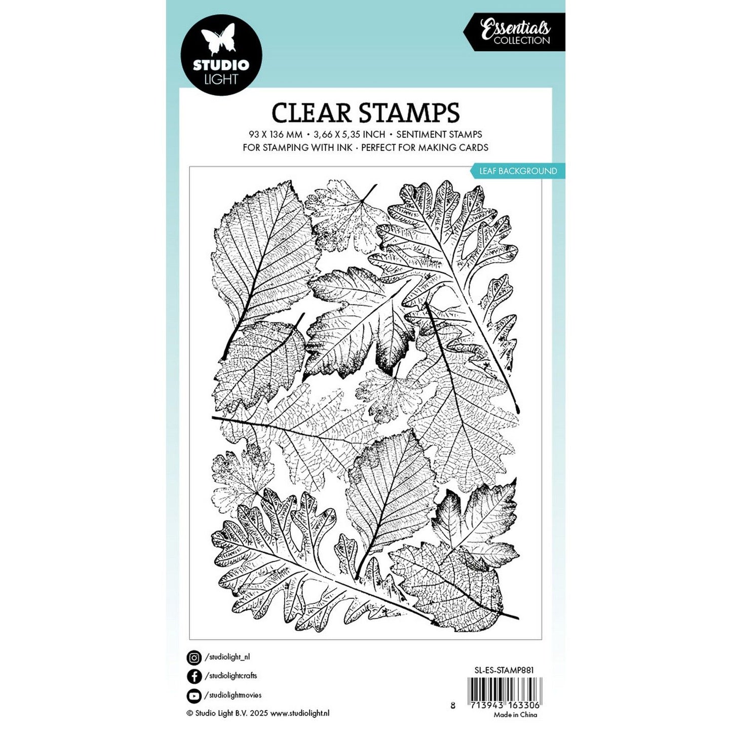 Lumière de studio • Essentiels, fond de feuille de tampon transparent