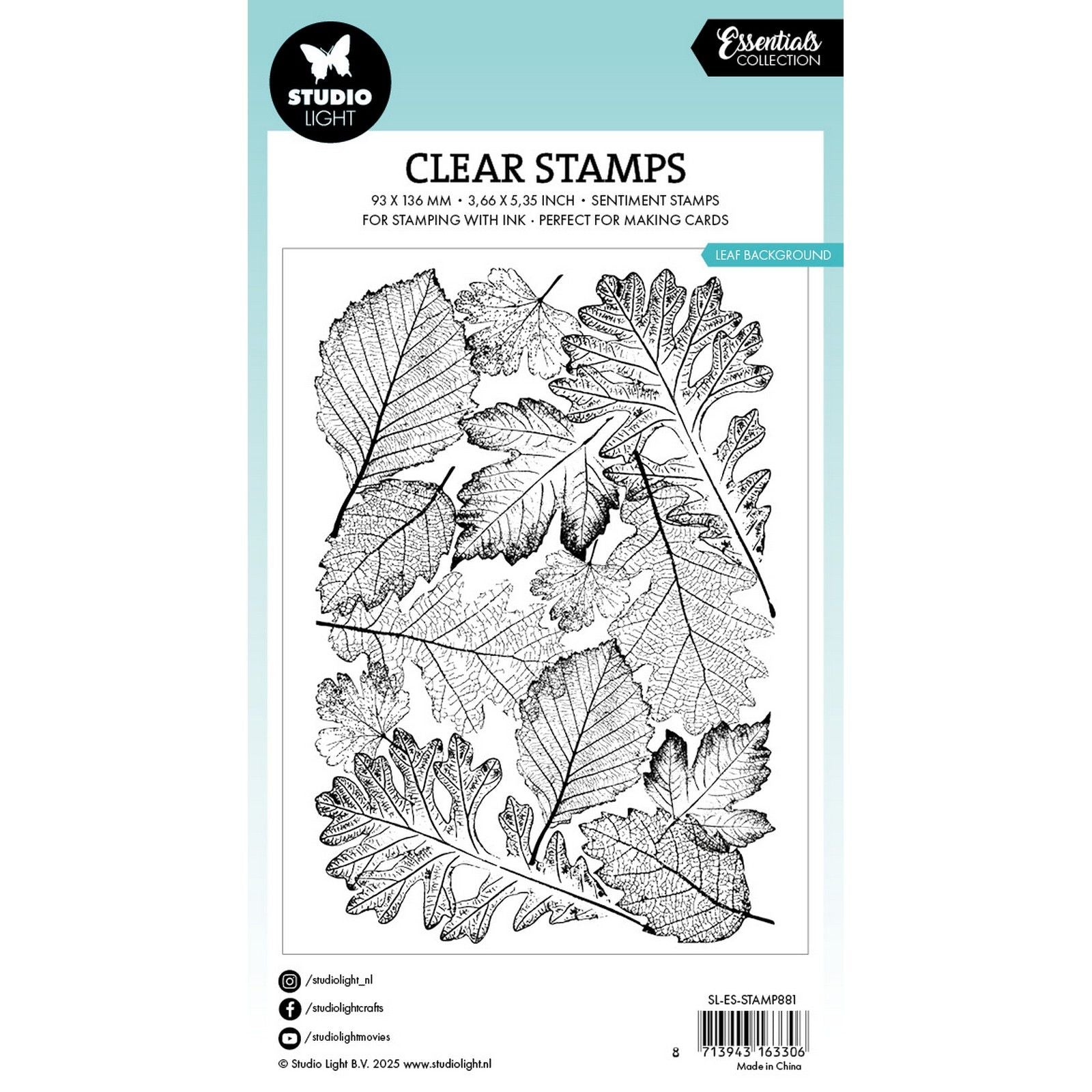 Lumière de studio • Essentiels, fond de feuille de tampon transparent
