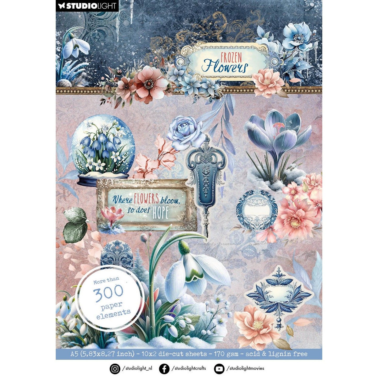 Lumière de studio • éléments en papier découpés avec des fleurs congelées