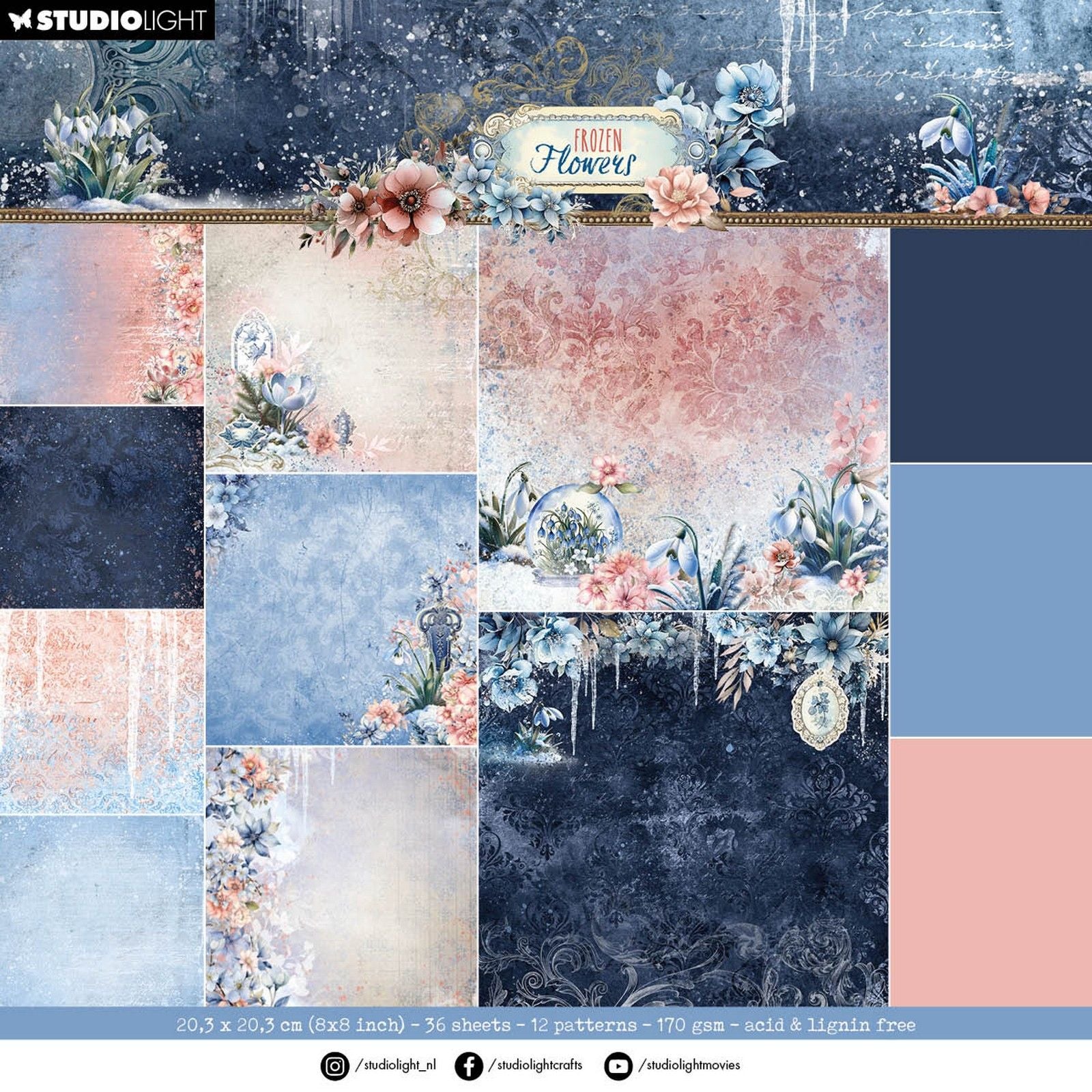 Studio Light • arrière-plans en papier avec fleurs gelées