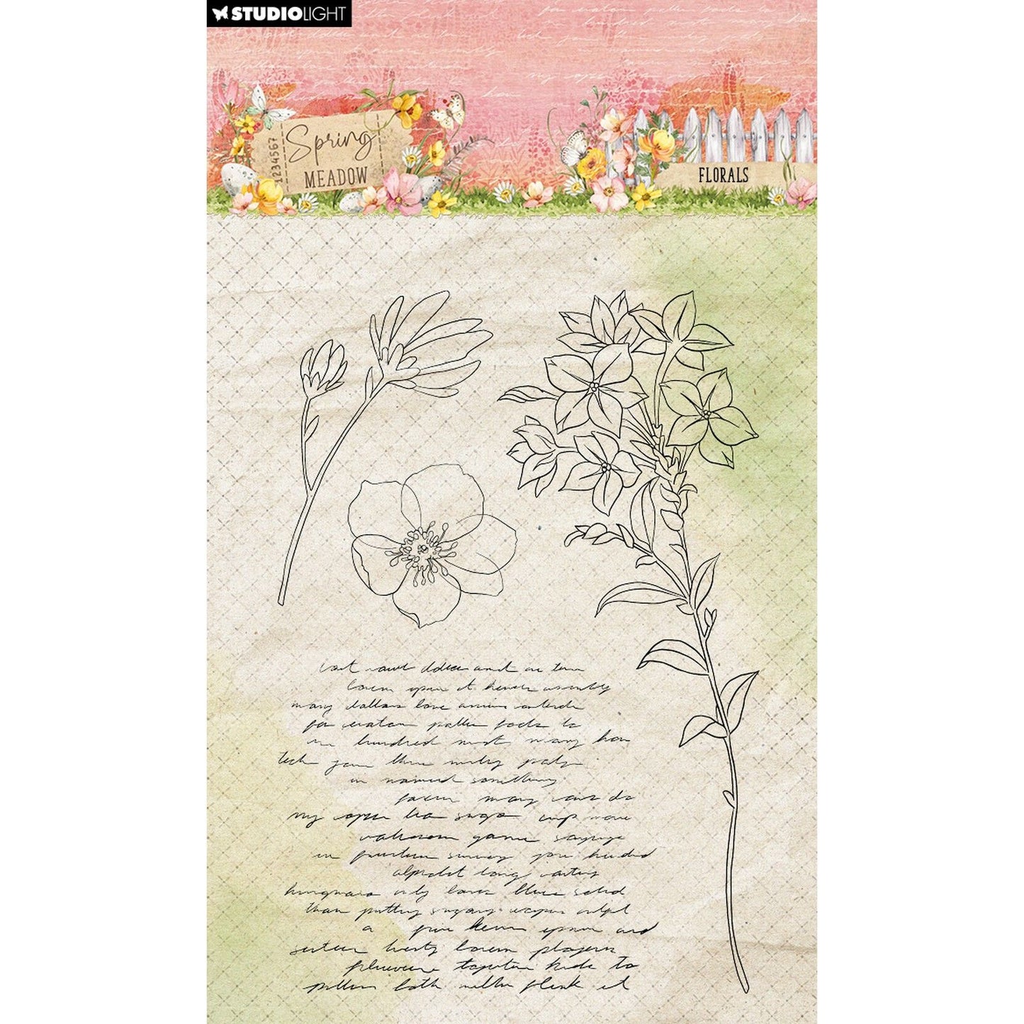 Lumière de studio • fleurs de timbre clair de prairie de printemps