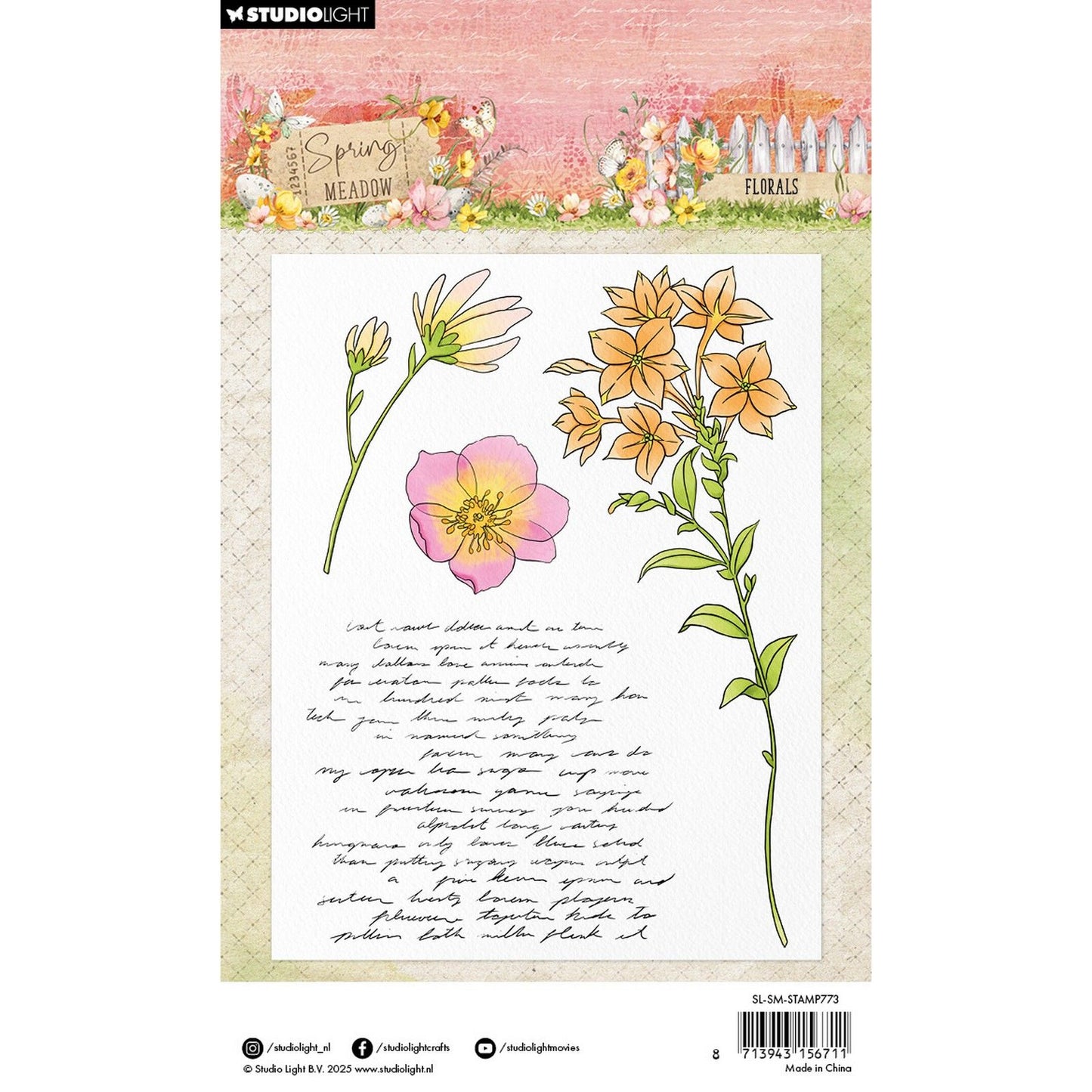 Lumière de studio • fleurs de timbre clair de prairie de printemps