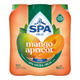 Spa fruit still mangue abricot pet (6x 400ml)