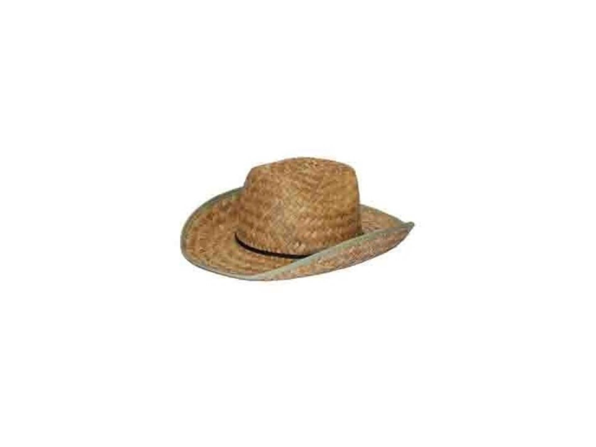 Chapeau de cowboy Boland Dallas naturel