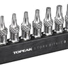 Kit d'embouts Torx Topeak 9