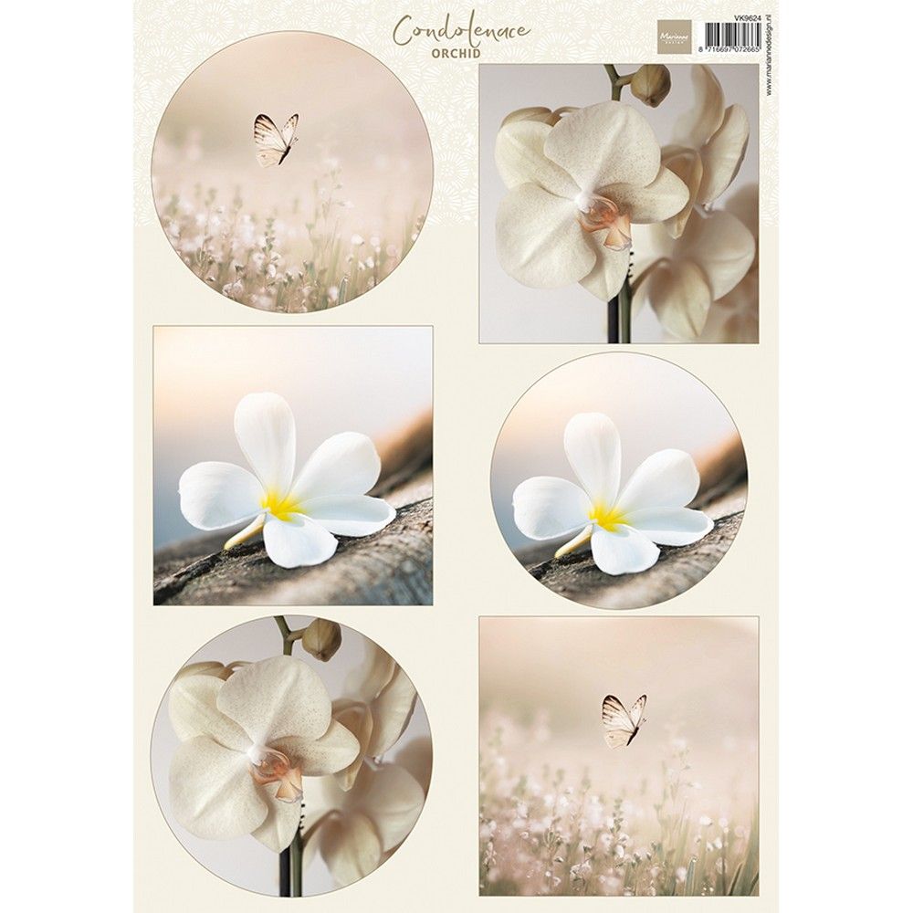 Marianne design • orchidée de condoléances en feuille découpée