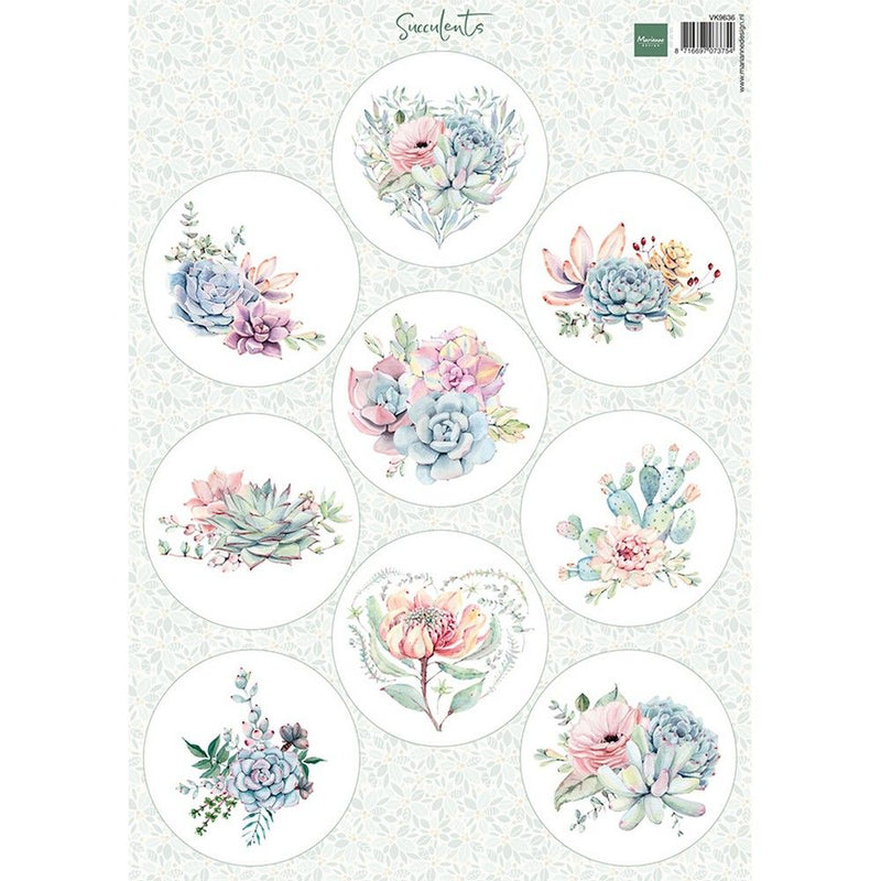 Marianne design • succulentes en feuilles découpées