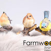 Statue de jardin animaux de ferme oiseau 8,5x5x10 cm