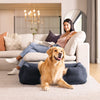 Lit de chien gonflable inéxable | moyen