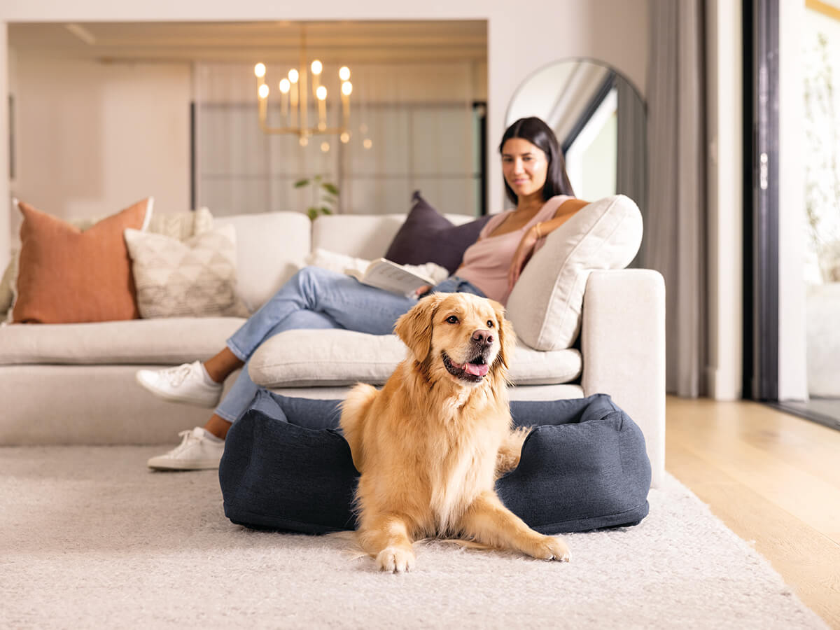 Lit de chien gonflable inéxable | moyen