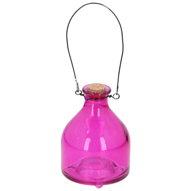 Pro Garden Garden Wasp Catcher Verre 13x9cm 4 Assorti