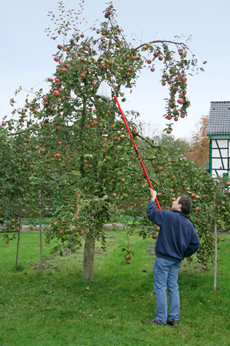 Cueilleur de fruits Meister avec télescope. tige - wu9890020