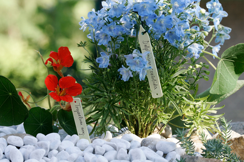Etiquettes de jardin Meister 100 mm - wu9970320