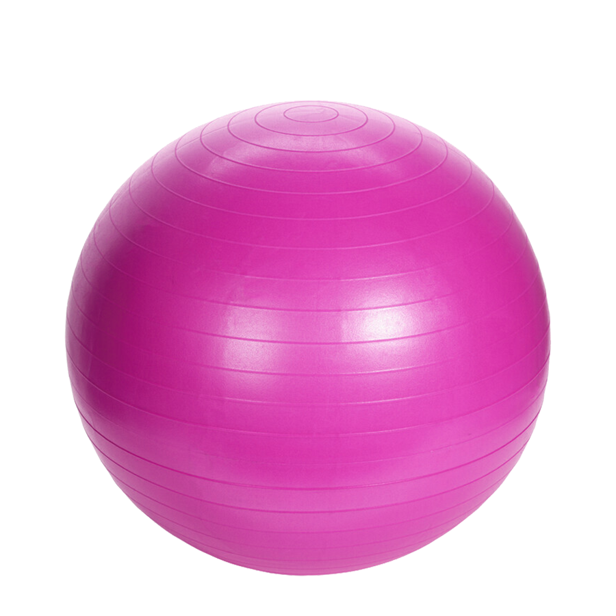 Ballon de gym Xq max rose ø65cm