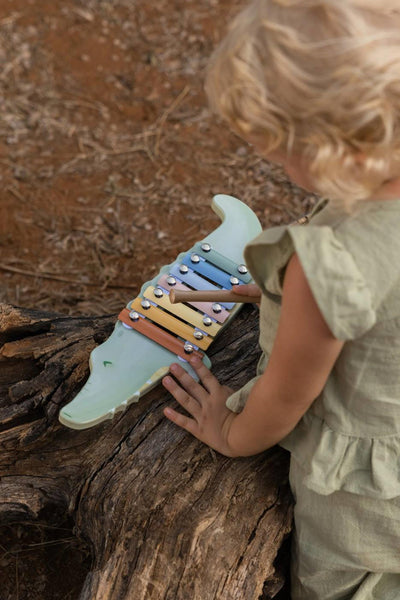 Petit xylophone hollandais - crocodile fsc - amis safari