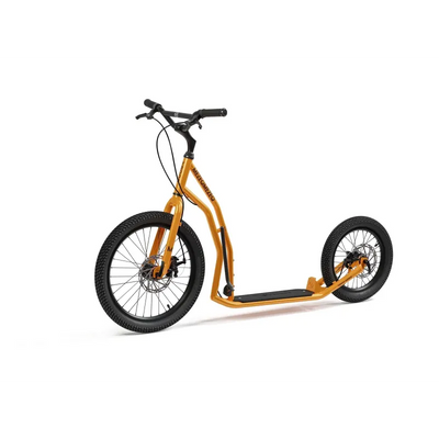 Yedoo mezeq néerlandais orange nouveau