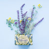 Nesti Dante Nesti Dante Lavanda Blu del Mediterraneo Soap 150gr.