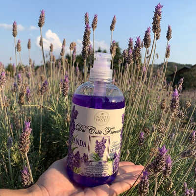 Nesti Dante Nesti Dante Fiorentini Lavanda Soap Pompe 500 ml