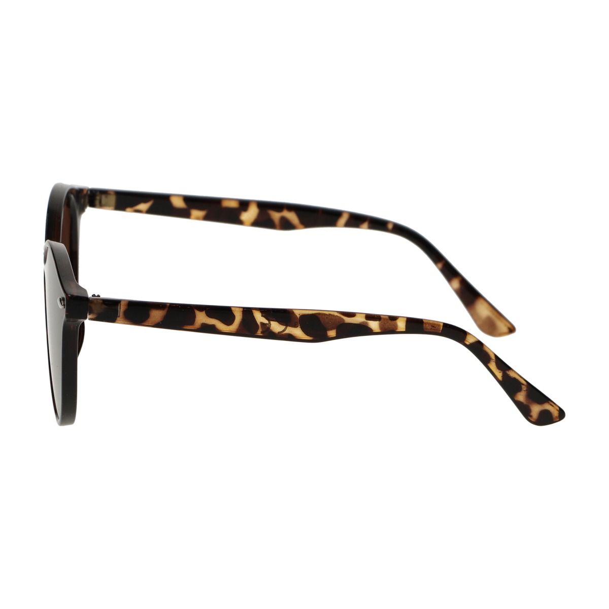 Lunettes de soleil Spectrum Spectrum autour des dames brunes tortue
