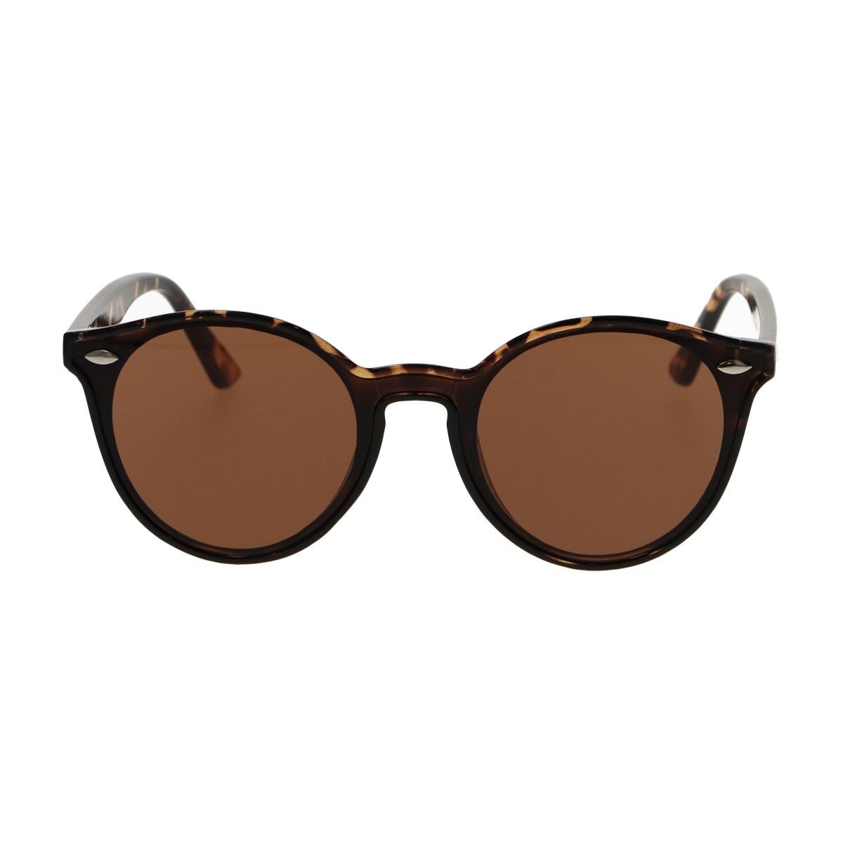 Lunettes de soleil Spectrum Spectrum autour des dames brunes tortue