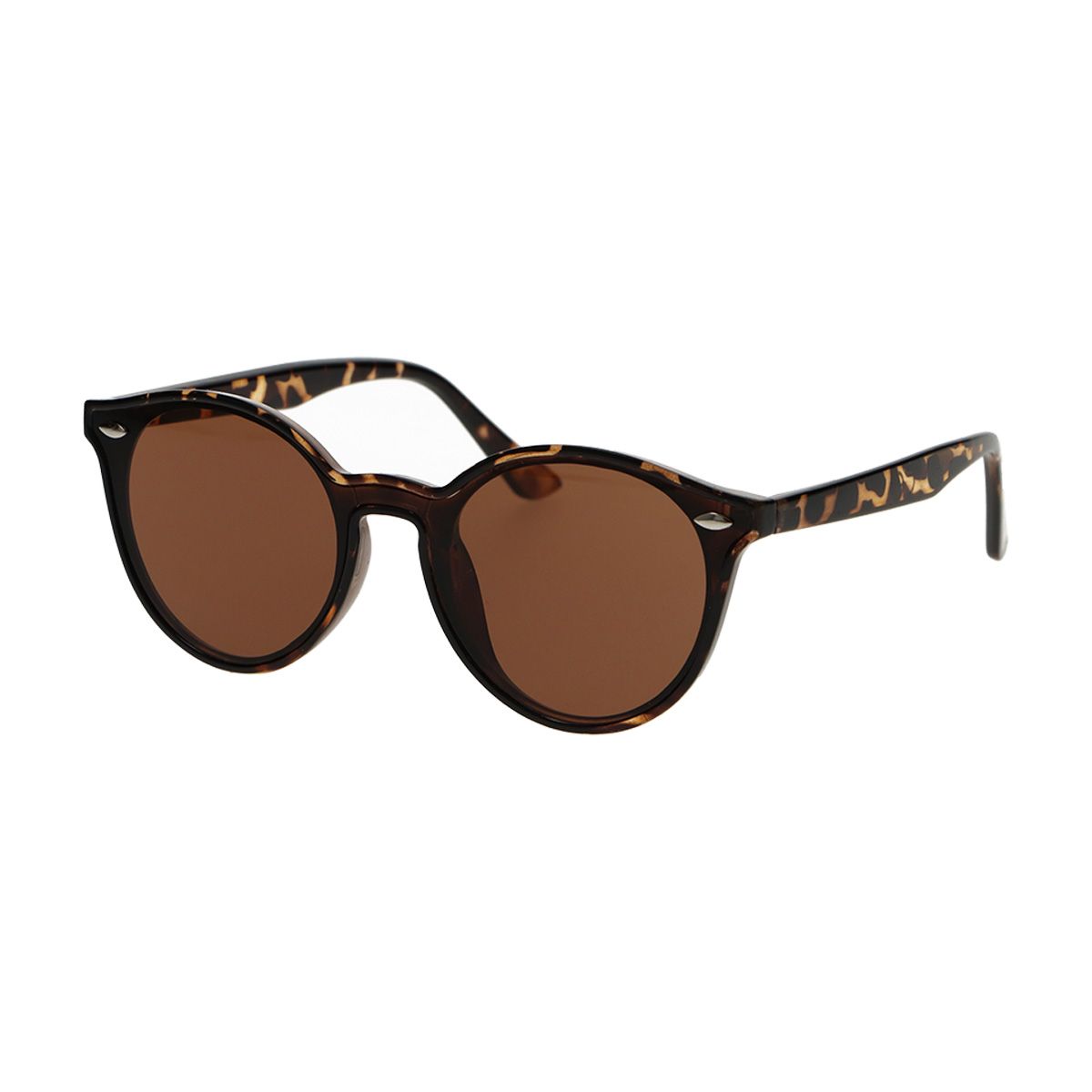 Lunettes de soleil Spectrum Spectrum autour des dames brunes tortue